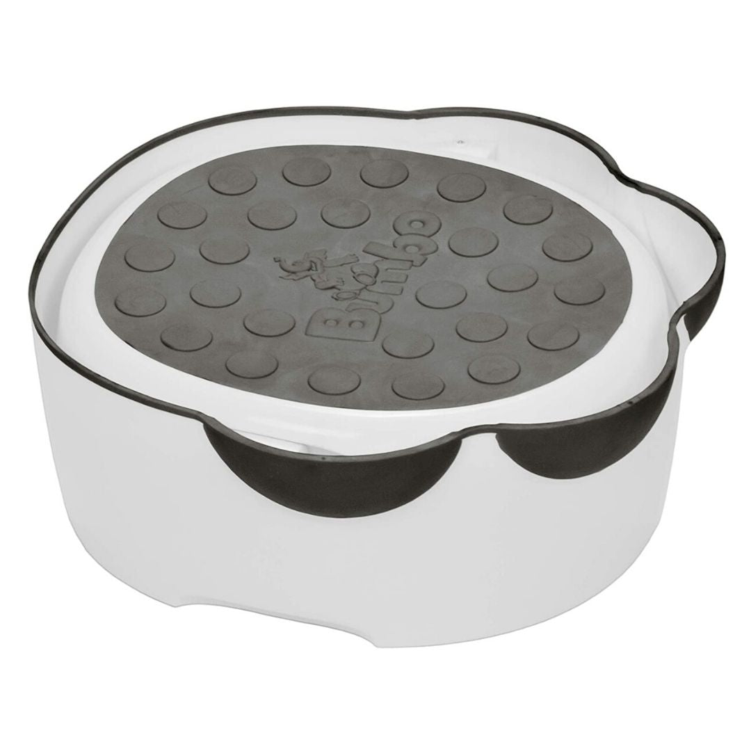Step n' Potty 
