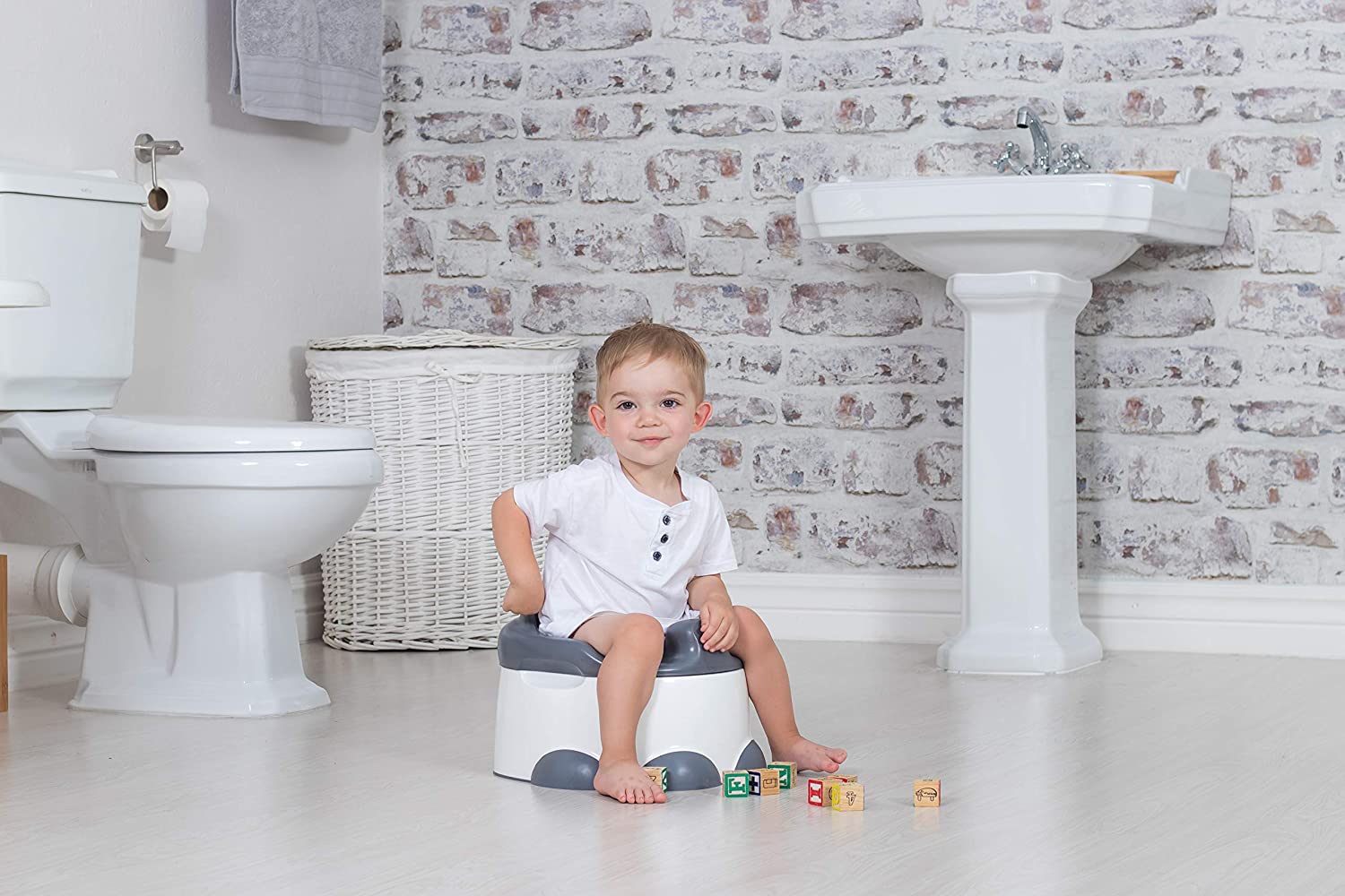 Step n' Potty 