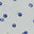 Blueberries