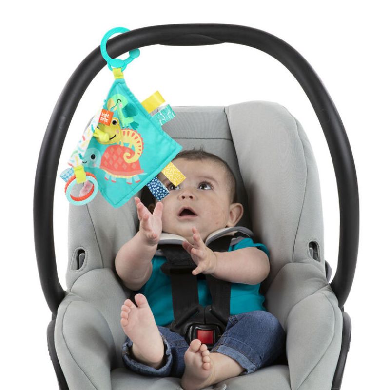 Bright starts 2024 car seat