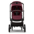 Kangaroo Complete Stroller + Comfort Wheeled board Bundle