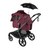 Kangaroo Complete Stroller