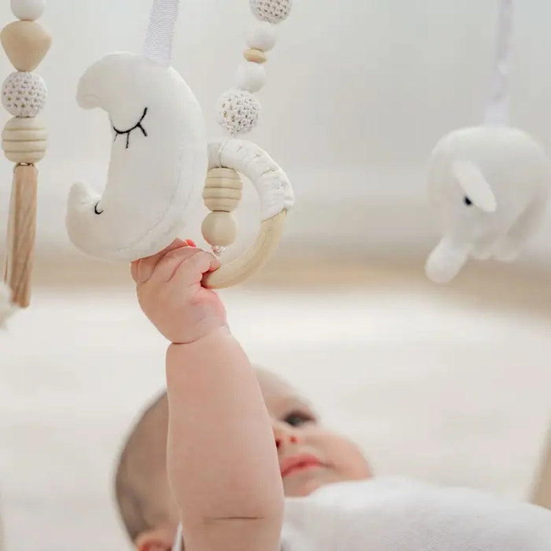 Wooden Baby Play Gym