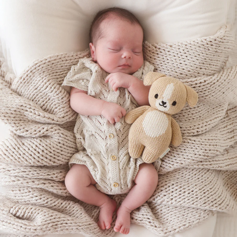Baby Animal Collection