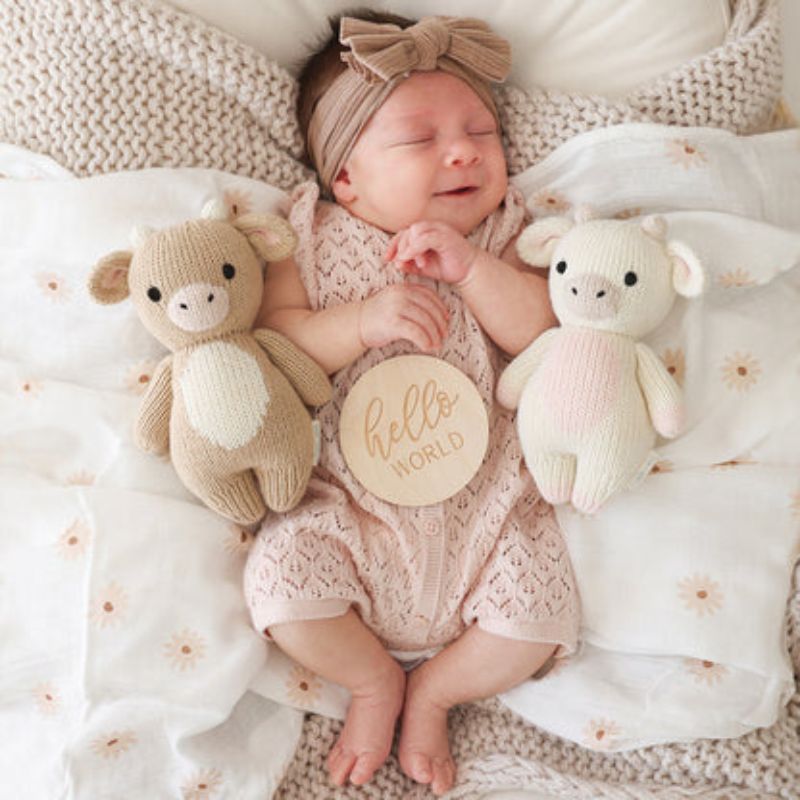 Baby Animal Collection