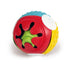 Touch and Play Sensory Ball