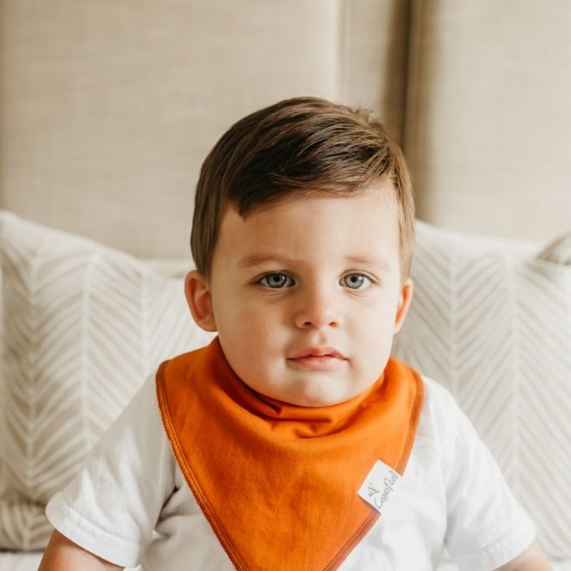 Bandana Drool Bibs - 4 Pack Blaze