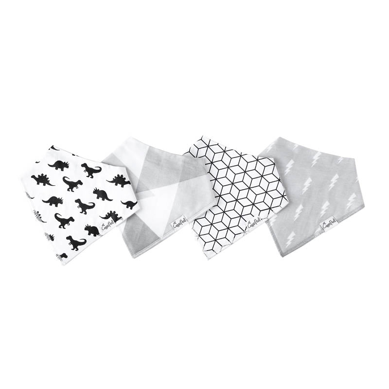 Bandana Drool Bibs - 4 Pack wild