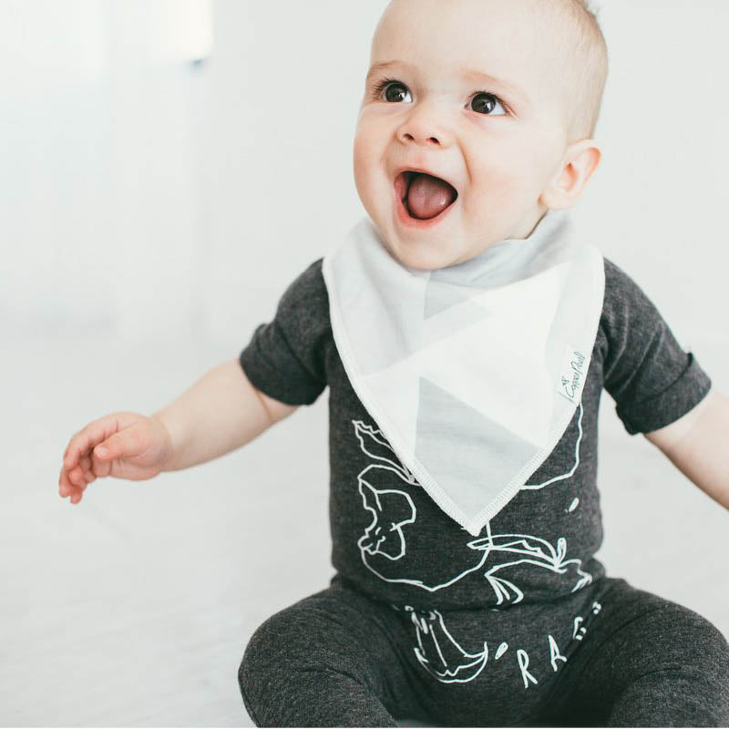 Bandana Drool Bibs - 4 Pack wild