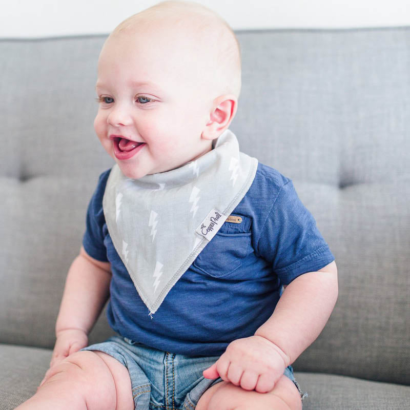 Bandana Drool Bibs - 4 Pack wild