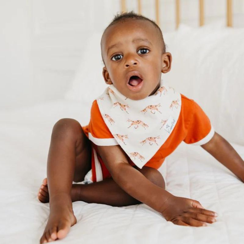 Bandana Drool Bibs - 4 Pack Swift