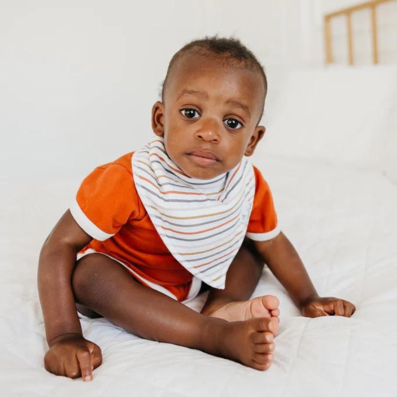 Bandana Drool Bibs - 4 Pack Swift