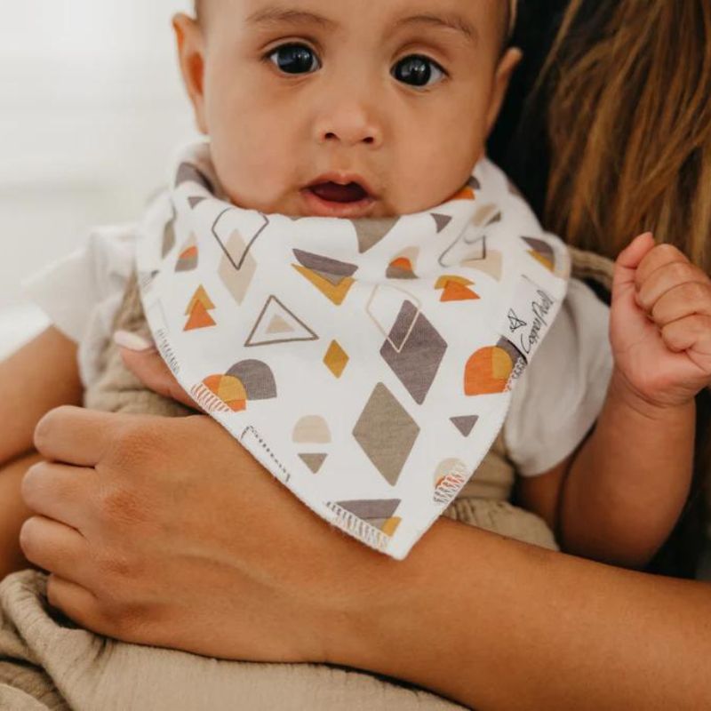 Bandana Drool Bibs - 4 Pack Swift