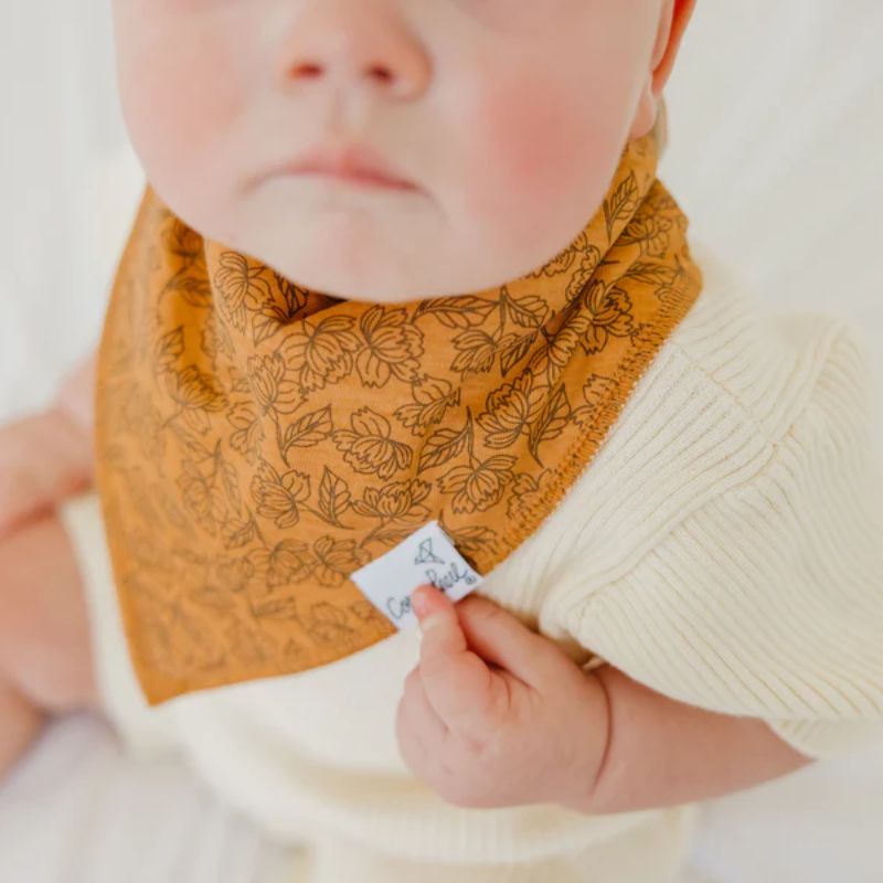 Bandana Drool Bibs - 4 Pack Eden