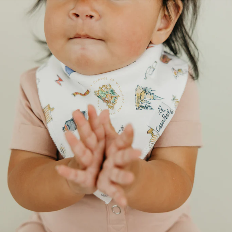 Bandana Drool Bibs - 4 Pack