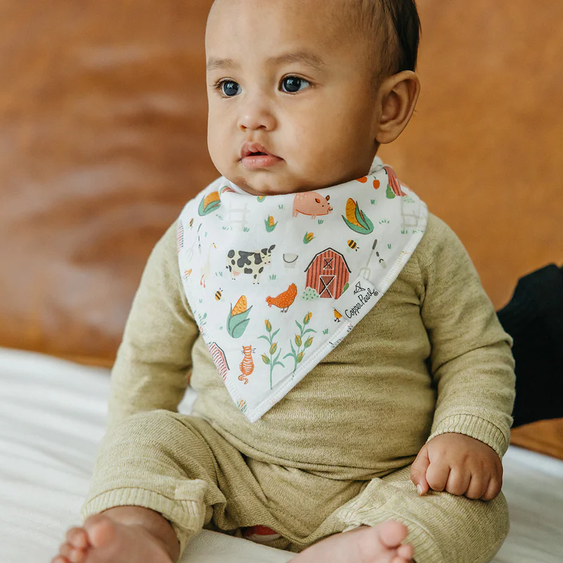 Bandana Drool Bibs - 4 Pack