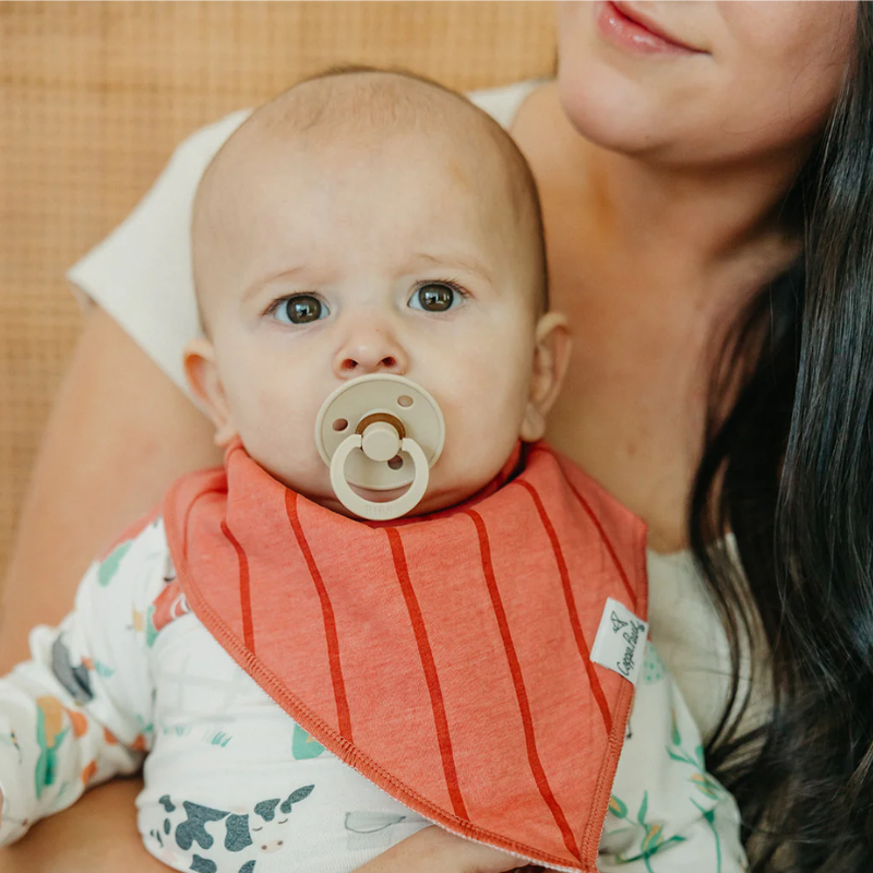 Bandana Drool Bibs - 4 Pack