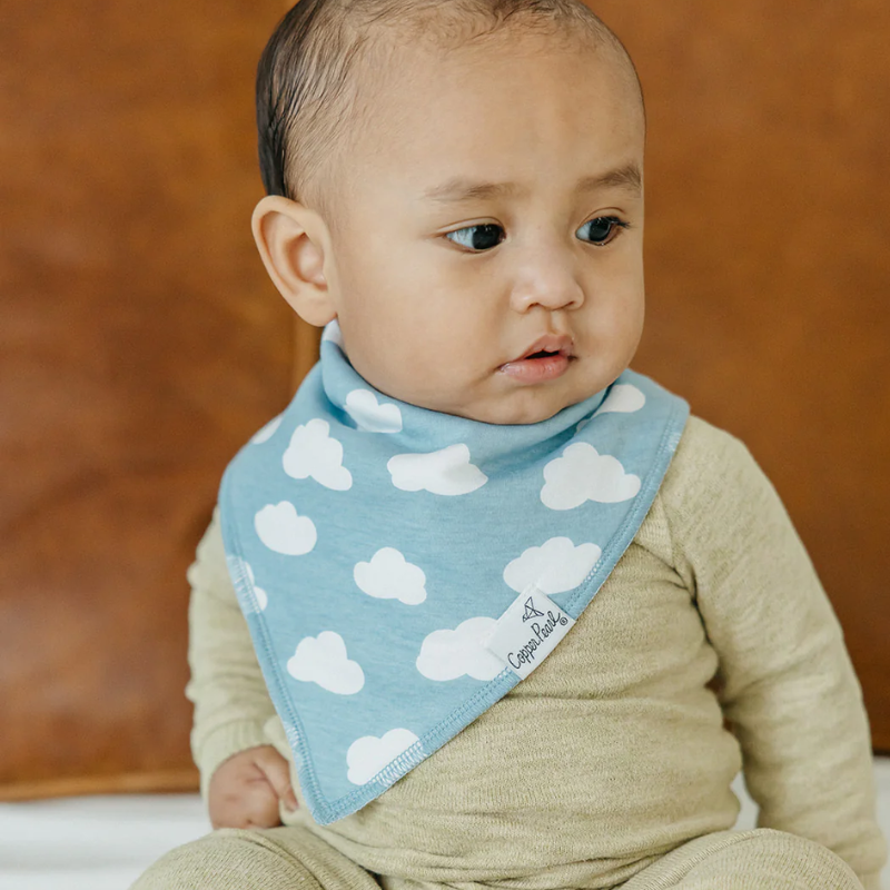 Bandana Drool Bibs - 4 Pack