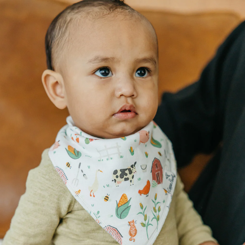 Bandana Drool Bibs - 4 Pack