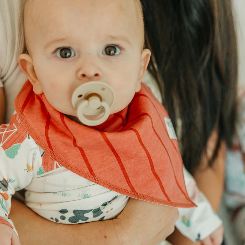 Bandana Drool Bibs - 4 Pack