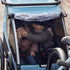 Thule Courier 2-Seat Kids Cargo Bike Trailer