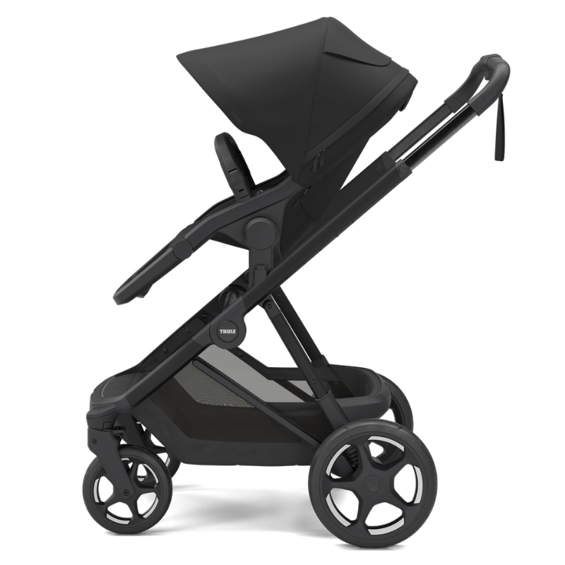 Charm 2-in-1 Stroller