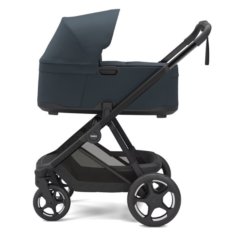 Charm 2-in-1 Stroller