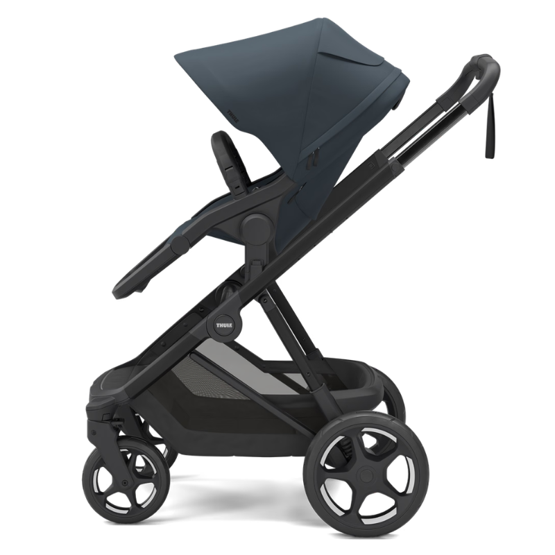 Charm 2-in-1 Stroller