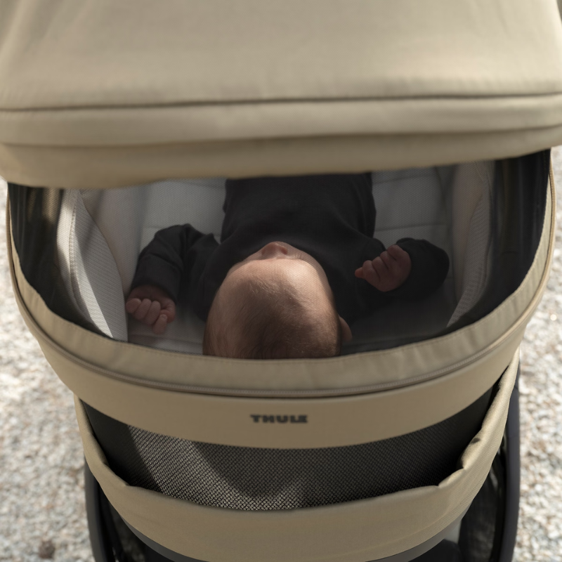 Charm 2-in-1 Stroller