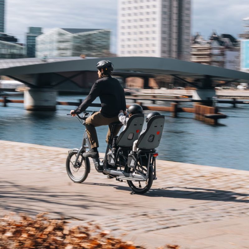 Yepp Nexxt 2 Maxi Frame Mount