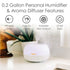 2-in-1 Cool Mist Humidifier and Aroma Diffuser