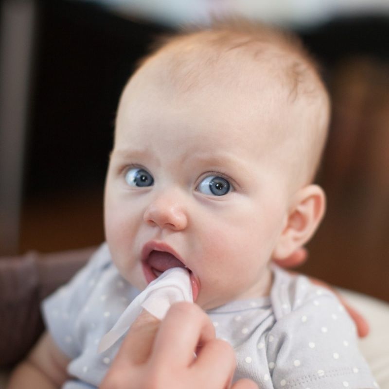 Tooth & Gum Wipes - 30pk