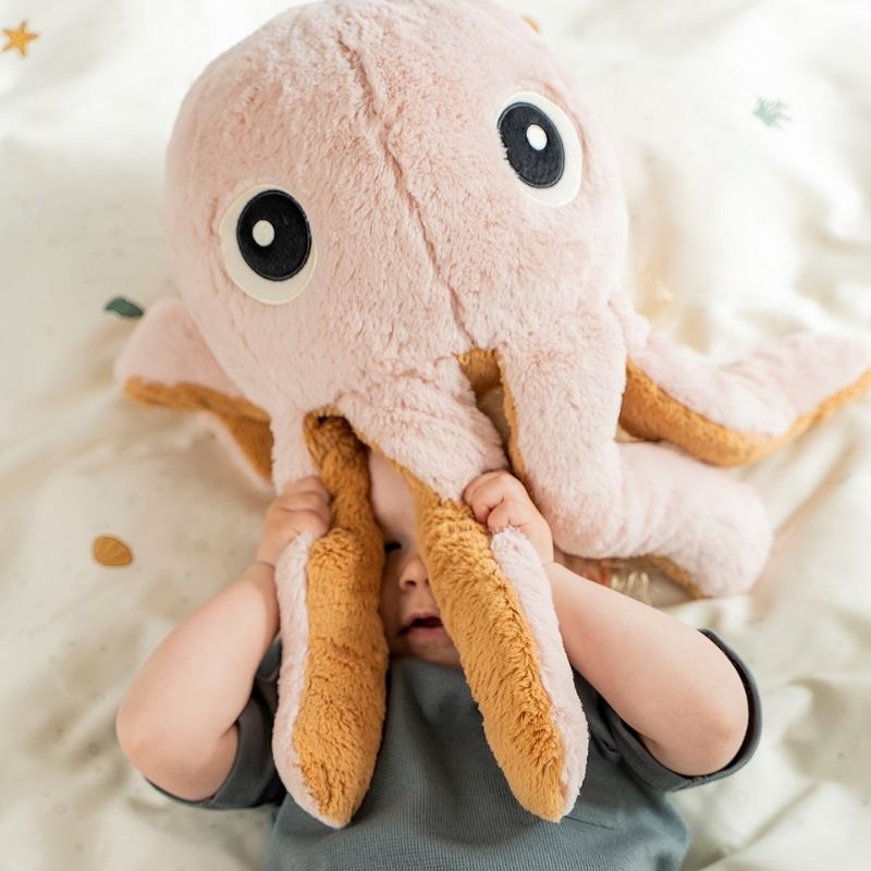 Cuddle Friend Jelly Plush Jelly Powder