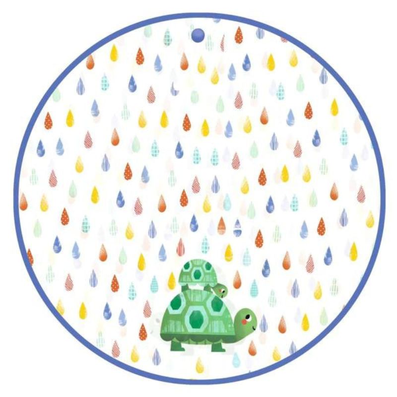 Rain Cape Turtle