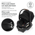 Zelia Luxe 5-in-1 Modular Travel System