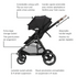 Zelia Luxe 5-in-1 Modular Travel System