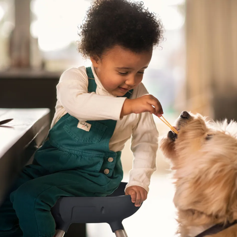 Moa 8-in-1 High Chair