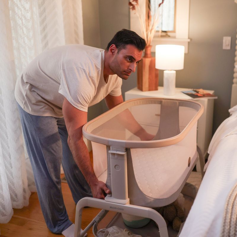 Iora Bedside Bassinet