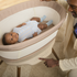 Starling Bassinet