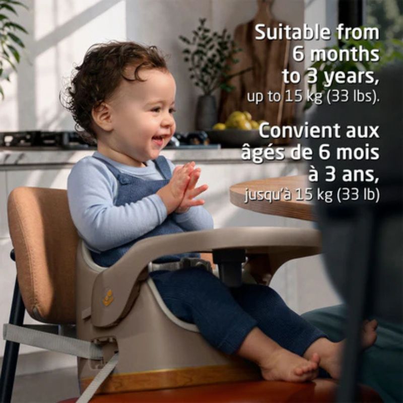 Jay Plus 3 in 1 Feeding Booster