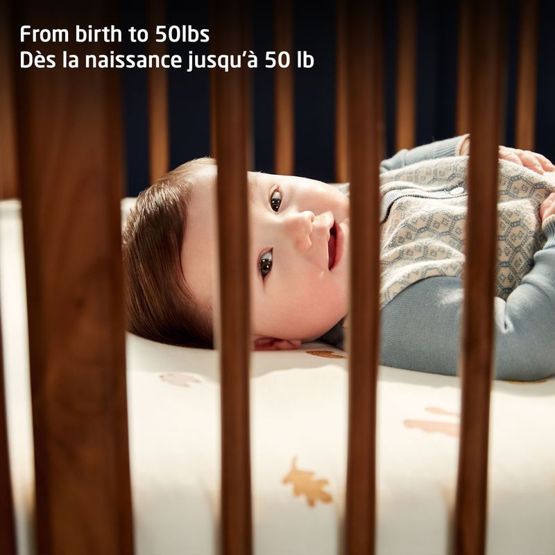 Embraced Forms 4-in-1 Convertible Crib