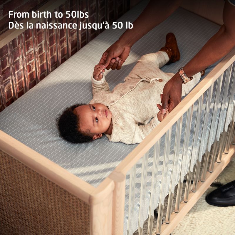 Brisa 4-in-1 Convertible Crib with Toddler Bed/Daybed Conversion Kit