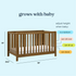 Colby GROW 6-in-1 Convertible Bassinet to Crib