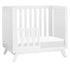 Otto 3-in-1 Convertible Mini Crib