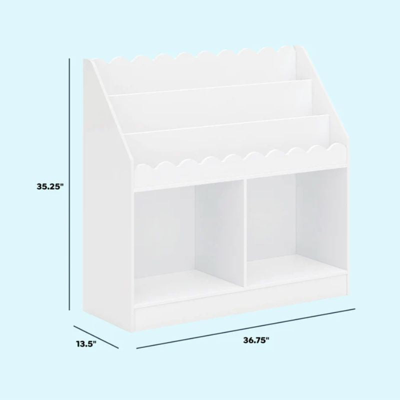 Sammy Scallop Bookcase
