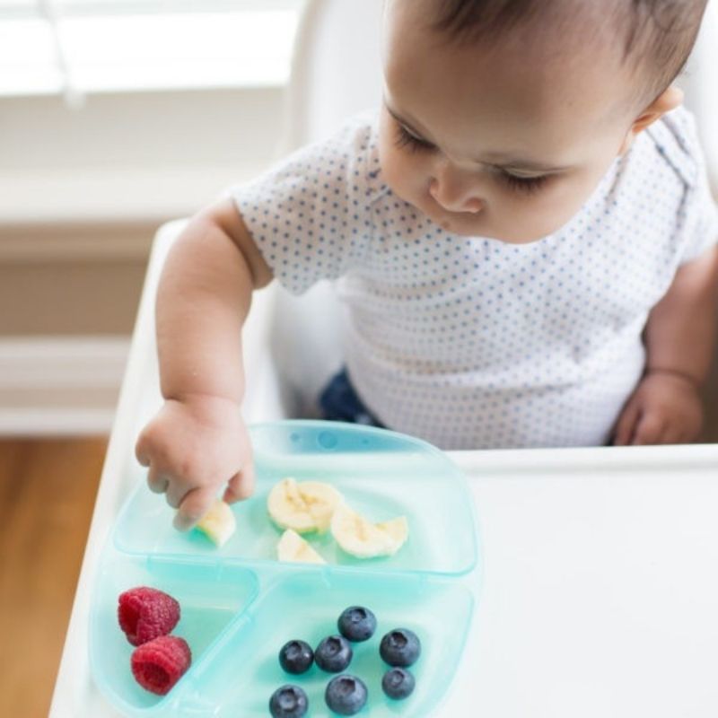 Divided Plates - 3 Pack