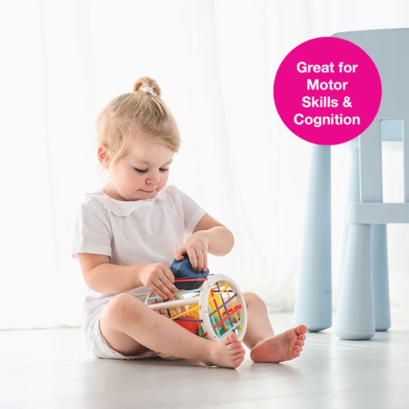 Sensory Push & Roll