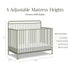 Winston 4-in-1 Convertible Crib