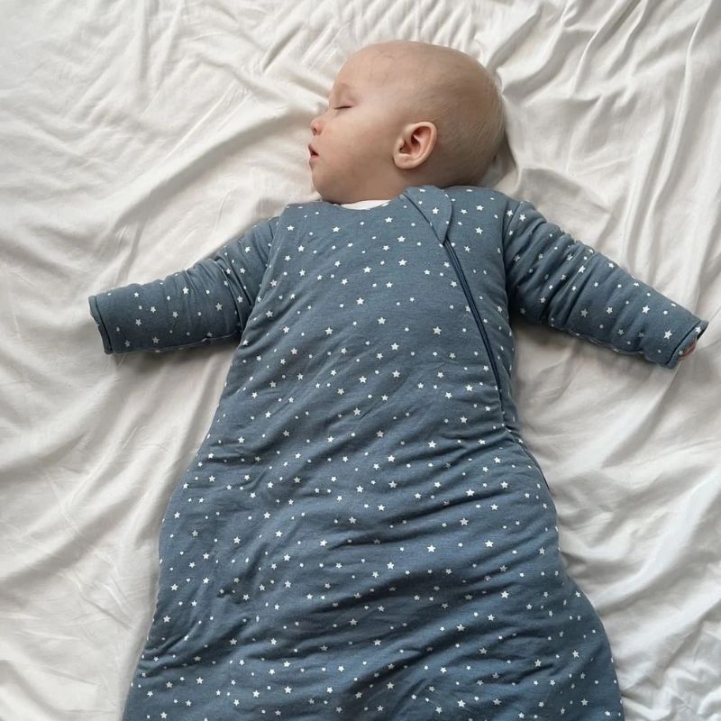 Sleep Bag Long Sleeve Premium Duvet - 2.6 TOG Dream