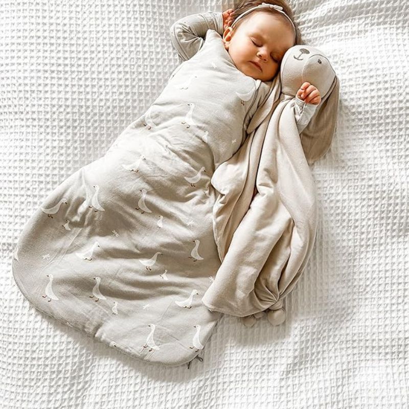 Sleep Bag Long Sleeve Premium Duvet - 2.6 TOG